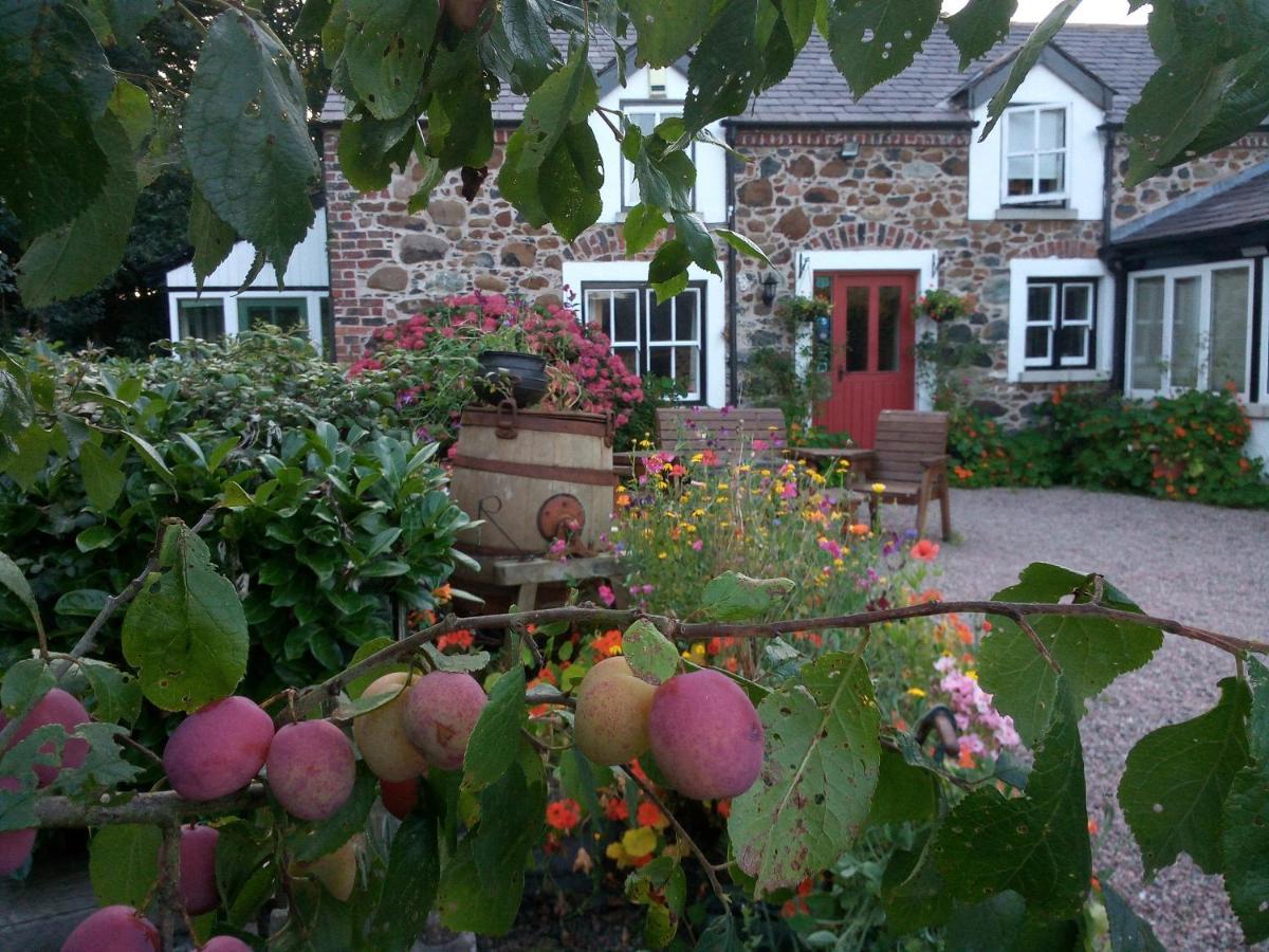 Berwick Hall Cottage Moira  Εξωτερικό φωτογραφία