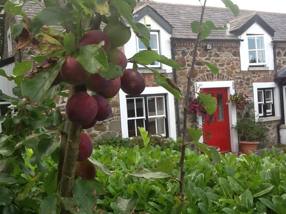 Berwick Hall Cottage Moira  Δωμάτιο φωτογραφία